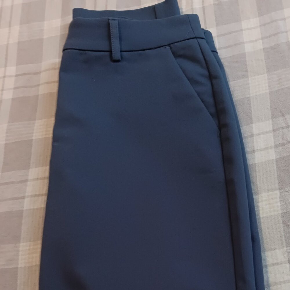 Express dress pants